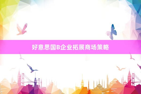 好意思国B企业拓展商场策略